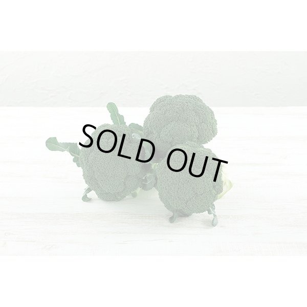 画像4: 送料無料　[ブロッコリー]　夢あたるコート40粒 ナント種苗（株） (4)