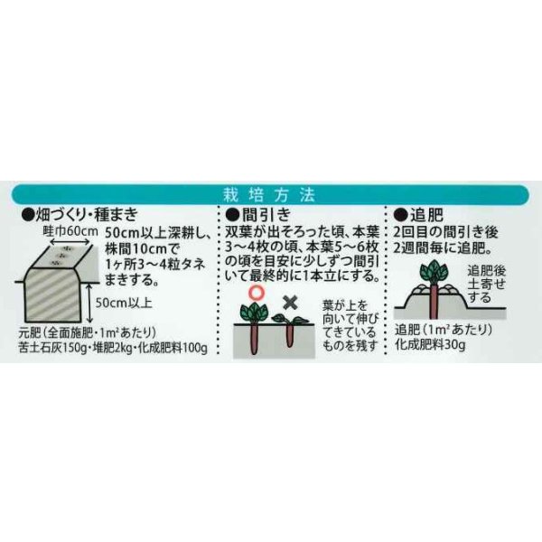 画像2: 送料無料　[牛蒡]　てがるゴボウ　8ml（約280粒）（株）大和農園 (2)