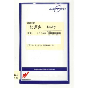 画像: 送料無料　[キャベツ]　なぎさ　2000粒　渡辺農事（株）
