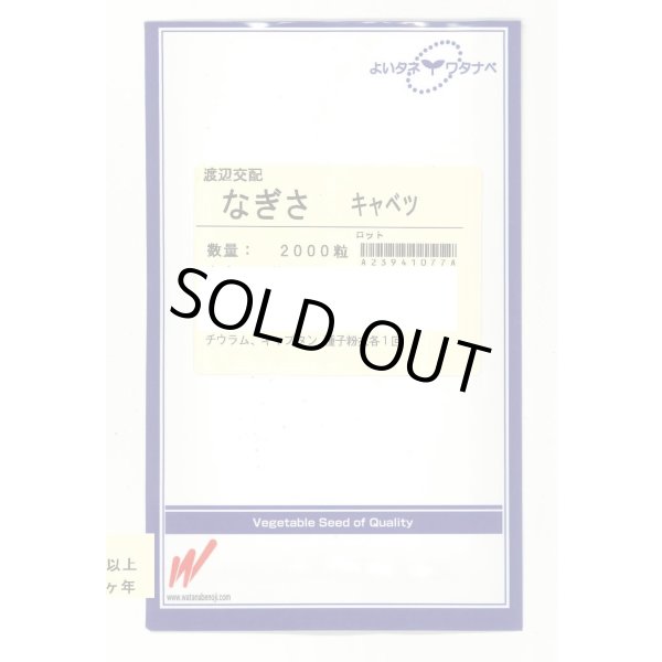画像1: 送料無料　[キャベツ]　なぎさ　2000粒　渡辺農事（株） (1)