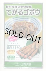 画像: 送料無料　[牛蒡]　てがるゴボウ　8ml（約280粒）（株）大和農園