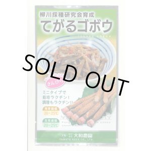 画像: 送料無料　[牛蒡]　てがるゴボウ　8ml（約280粒）（株）大和農園