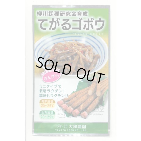 画像1: 送料無料　[牛蒡]　てがるゴボウ　8ml（約280粒）（株）大和農園 (1)