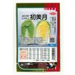 画像1: 送料無料　[白菜]　初美月　20ml　（株）サカタのタネ (1)