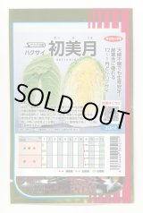 画像: 送料無料 [白菜] 初美月 20ml （株）サカタのタネ