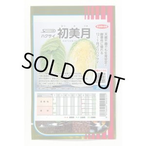 画像: 送料無料 [白菜] 初美月 20ml （株）サカタのタネ