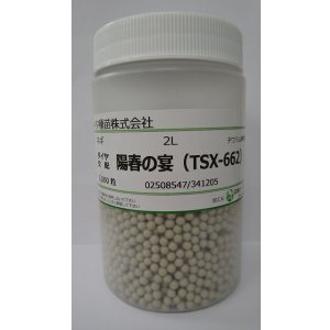 画像: 送料無料　[ねぎ]　陽春の宴　コート5千粒　トキタ種苗(株)