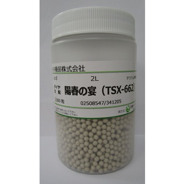 画像1: 送料無料　[ねぎ]　陽春の宴　コート5千粒　トキタ種苗(株) (1)