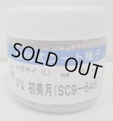 画像: 送料無料　[白菜]　初美月　ペレット5千粒　（株）サカタのタネ