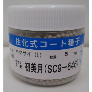 画像: 送料無料 [白菜] 初美月 ペレット5千粒 （株）サカタのタネ