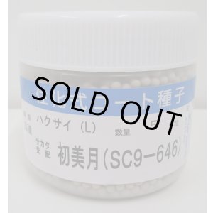 画像: 送料無料　[白菜]　初美月　ペレット5千粒　（株）サカタのタネ