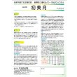 画像3: 送料無料　[白菜]　初美月　20ml　（株）サカタのタネ (3)