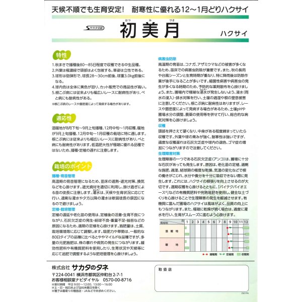 画像3: 送料無料　[白菜]　初美月　20ml　（株）サカタのタネ (3)