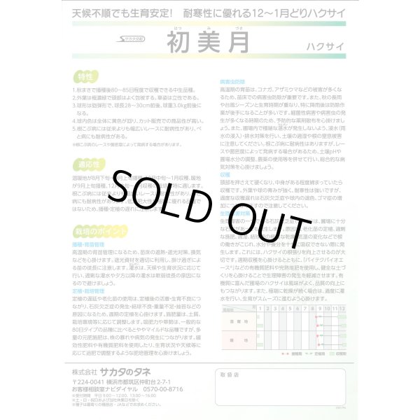 画像3: 送料無料　[白菜]　初美月　ペレット5千粒　（株）サカタのタネ (3)
