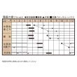 画像2: 送料無料　[ねぎ]　陽春の宴　コート5千粒　トキタ種苗(株) (2)