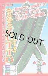 画像: 送料無料　[キュウリ]　なるなるZUTTO　17粒　ナント種苗(株)