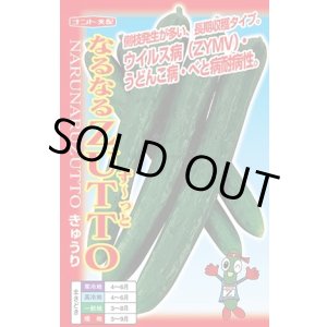 画像: 送料無料　[キュウリ]　なるなるZUTTO　17粒　ナント種苗(株)