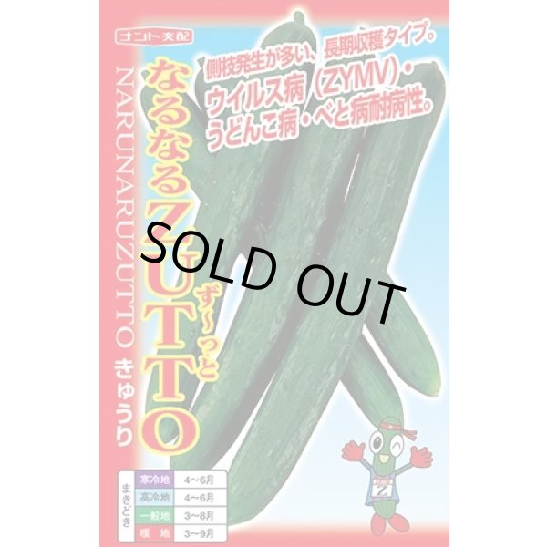画像1: [キュウリ] なるなるZUTTO 17粒 ナント種苗(株) (1)