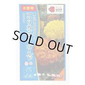 画像: 送料無料　花の種　お徳用パック！アフリカンマリーゴールド　高性大輪混合　タキイ種苗　NL500
