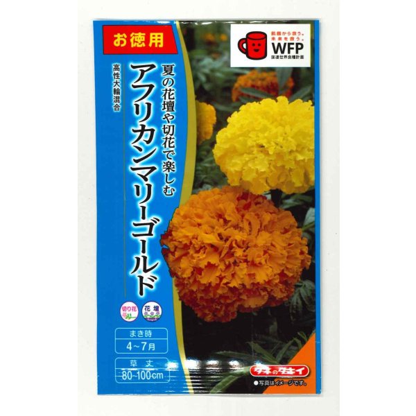 画像1: 送料無料　花の種　お徳用パック！アフリカンマリーゴールド　高性大輪混合　タキイ種苗　NL500 (1)