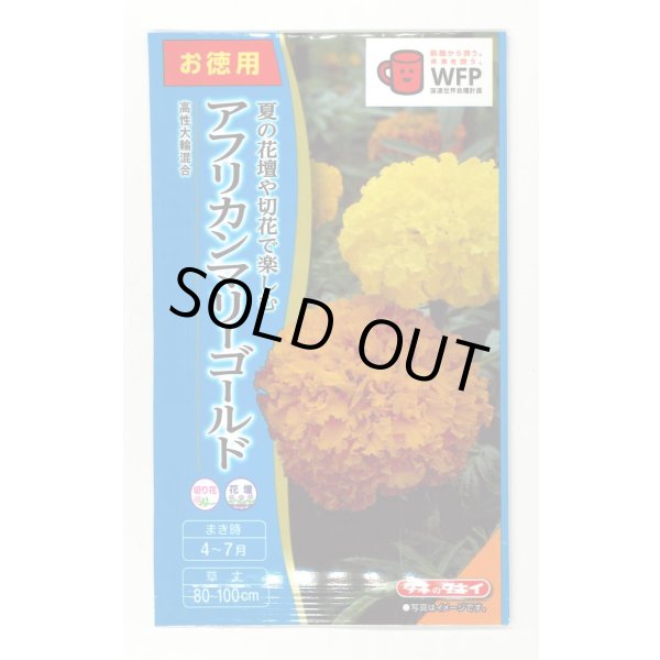 画像1: 花の種 お徳用パック!アフリカンマリーゴールド 高性大輪混合 タキイ種苗 NL500 (1)