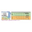 画像4: 送料無料　[ブロッコリー]　エンデバーＳＰ　ペレット5千粒　タキイ種苗(株) (4)