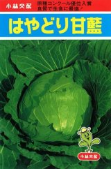 画像: 送料無料　[キャベツ]　はやどり　20ml　小林種苗（株）