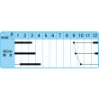 画像3: 送料無料　[葉物]　博多かつを菜　10ml 中原採種場（株） (3)
