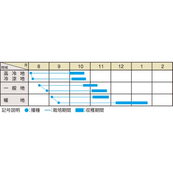 画像2: 送料無料　[大根]　早太り聖護院大根　8ml　（株）大和農園 (2)