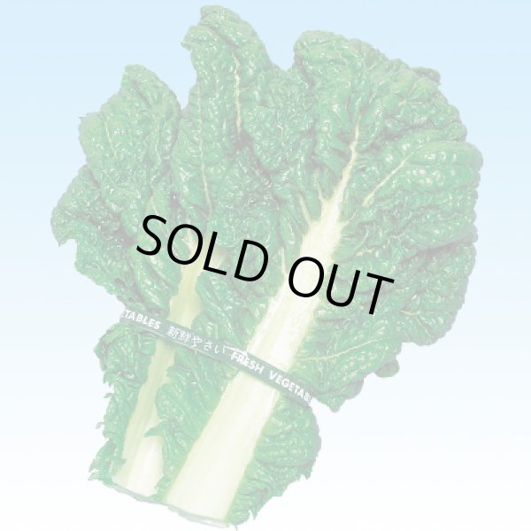 画像2: 送料無料　博多かつを菜　10ml 中原採種場（株） (2)