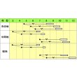 画像2: 送料無料　[キャベツ]　おかわり　20ml　小林種苗（株） (2)