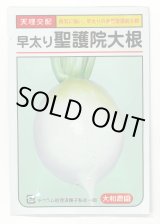 画像: 送料無料　[大根]　早太り聖護院大根　8ml　（株）大和農園