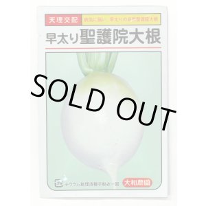 画像: 送料無料　[大根]　早太り聖護院大根　8ml　（株）大和農園