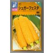 画像1: 送料無料　[とうもろこし]　シュガーフェスタ　200粒　中原採種場（株） (1)