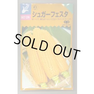 画像: 送料無料　[とうもろこし]　シュガーフェスタ　200粒　中原採種場（株）