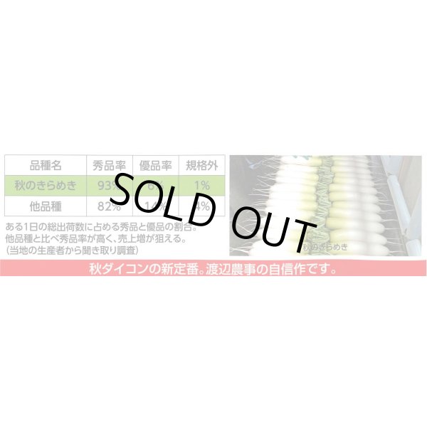 画像4: 送料無料　大根　秋のきらめき　200粒　渡辺農事（株） (4)