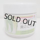 画像: 送料無料　[白菜]　黄ごころ85　ペレット5千粒　タキイ種苗(株)