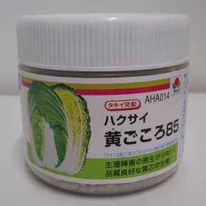 画像: 送料無料　[白菜]　黄ごころ85　ペレット5千粒　タキイ種苗(株)