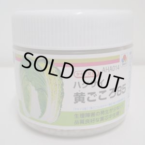 画像: 送料無料　[白菜]　黄ごころ85　ペレット5千粒　タキイ種苗(株)