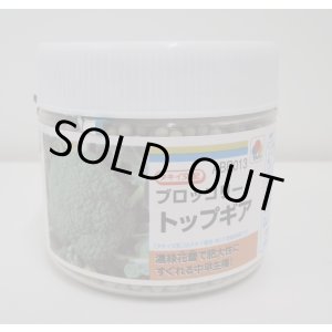 画像: 送料無料　[ブロッコリー]　トップギア　5000粒　ペレット種子　タキイ種苗(株)