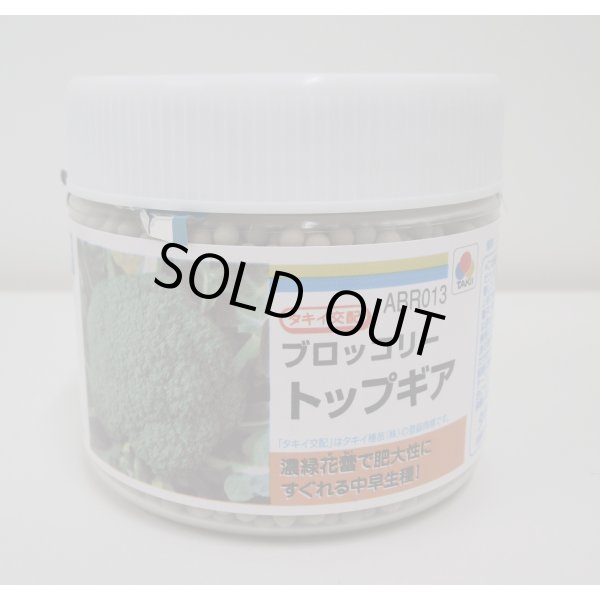 画像1: 送料無料　[ブロッコリー]　トップギア　5000粒　ペレット種子　タキイ種苗(株) (1)