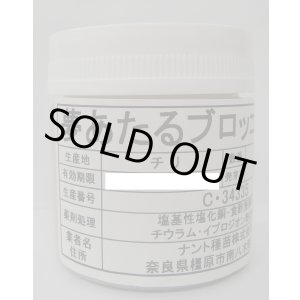 画像: 送料無料　[ブロッコリー]　夢あたるコート1000粒 ナント種苗（株）