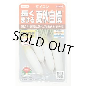画像: 送料無料　[大根]　夏秋自慢　約140粒　実咲450（203249）　(株)サカタのタネ