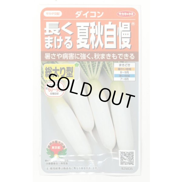 画像1: 送料無料　[大根]　夏秋自慢　約140粒　実咲450（203249）　(株)サカタのタネ (1)
