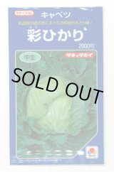 画像: 野菜種　キャベツ　彩ひかり　2000粒　タキイ種苗(株)