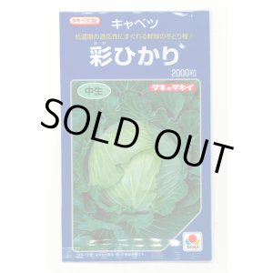 画像: 野菜種　キャベツ　彩ひかり　2000粒　タキイ種苗(株)