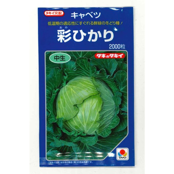 画像1: 野菜種 キャベツ 彩ひかり 2000粒 タキイ種苗(株) (1)