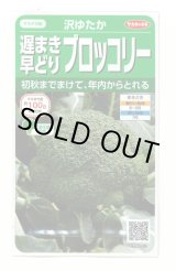 画像: 送料無料　[ブロッコリー]　沢ゆたか（約100粒）　(株)サカタのタネ　実咲450（104969）