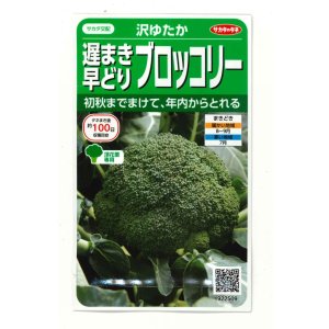 画像: 送料無料　[ブロッコリー]　沢ゆたか（約100粒）　(株)サカタのタネ　実咲450（104969）