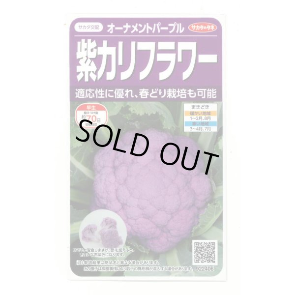 画像1: [カリフラワー]　オーナメントパープル（約25粒）　実咲450（203244） (株)サカタのタネ (1)